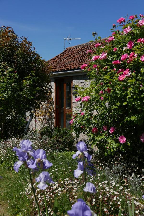 The Potting Shed, Self Contained, Detached Retreat In Shapwick Village Kültér fotó
