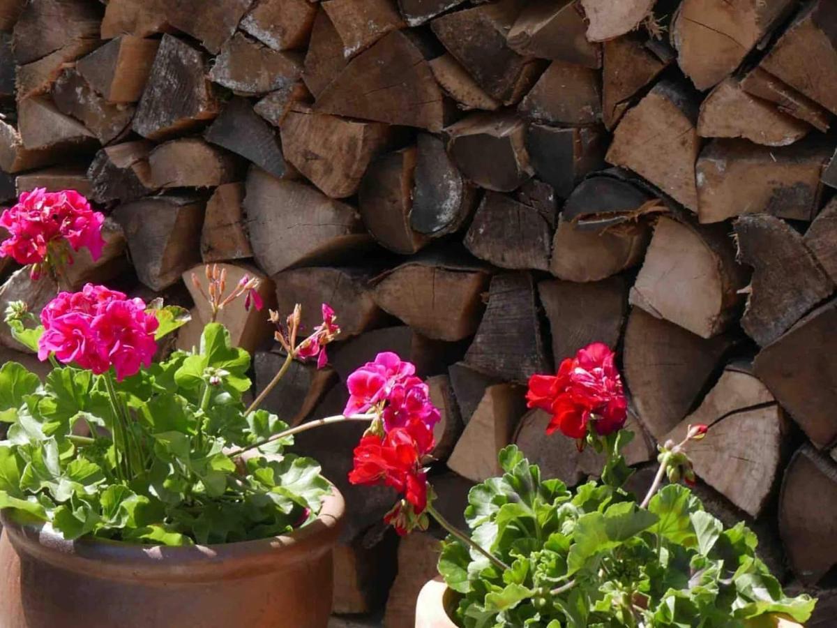 The Potting Shed, Self Contained, Detached Retreat In Shapwick Village Kültér fotó